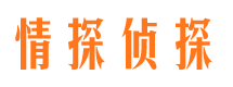 贡嘎外遇出轨调查取证